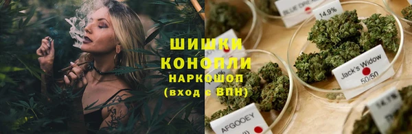 мдпв Иннополис
