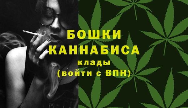 тгк Инта