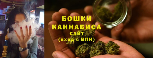 тгк Инта