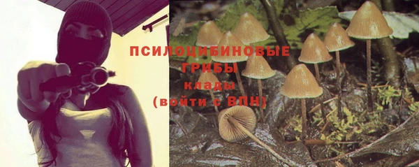 стафф Инсар