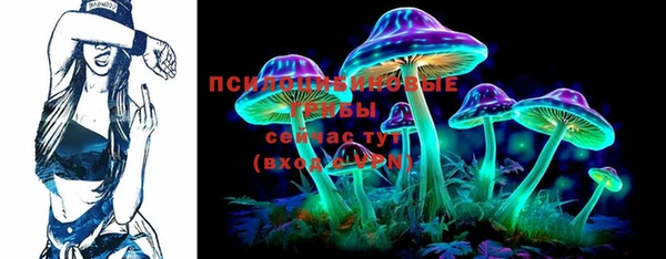 тгк Инта