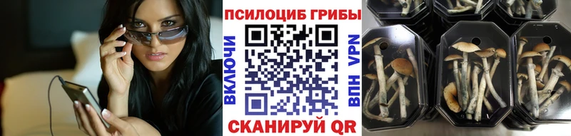 Псилоцибиновые грибы MAGIC MUSHROOMS  Купить где  Кемь 
